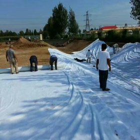 人工湖、人工河道防滲復合土工膜